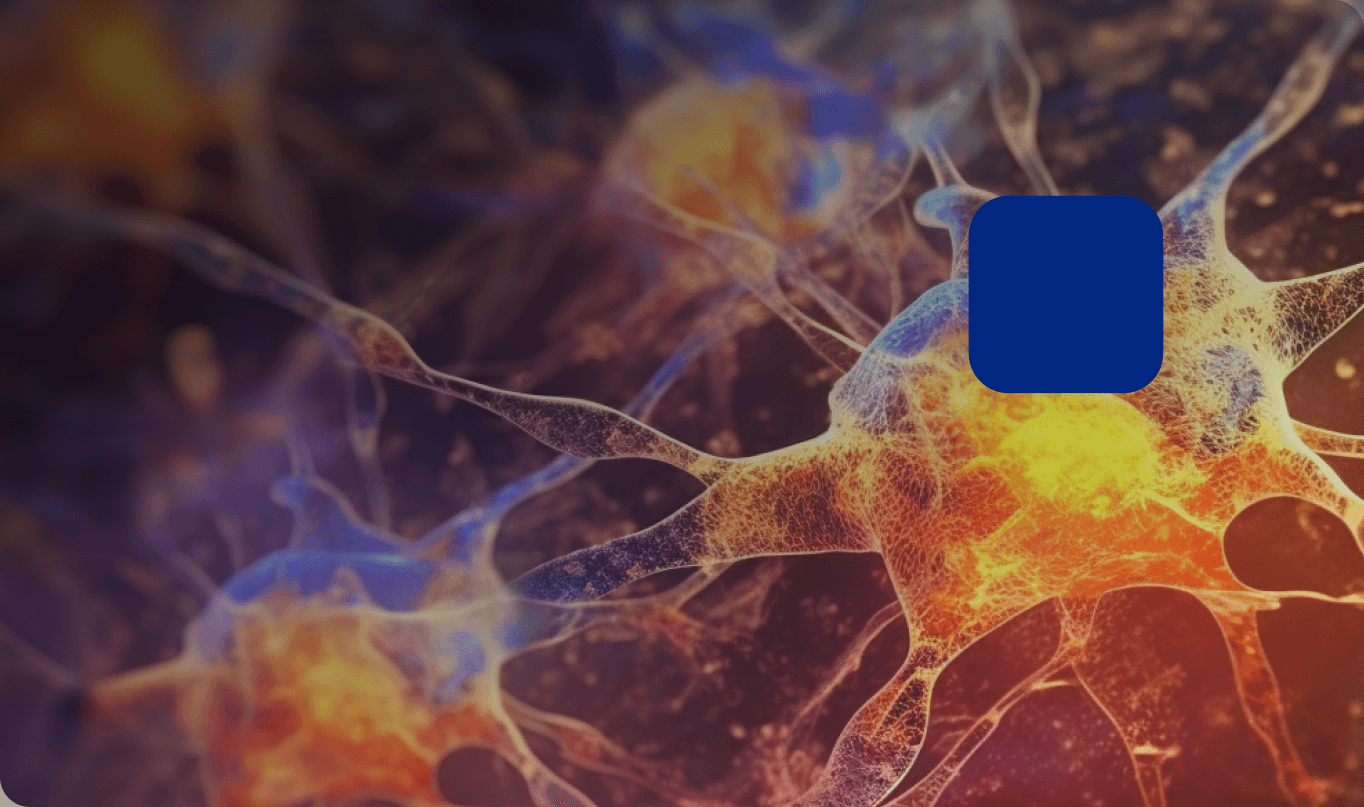 Concours de nouvelles 2